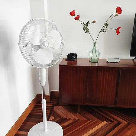 Spacious Confortable Next And Pintxos Area Σαν Σεμπαστιάν